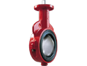 Butterfly Valve, Lug, Gear, 8